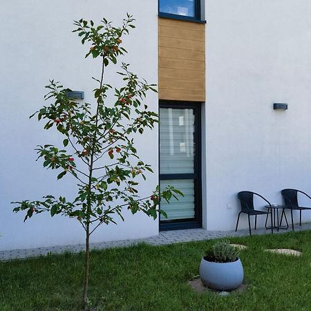 Apartament Sosnowa Puławy Exteriér fotografie